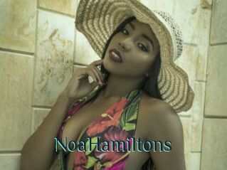NoaHamiltons