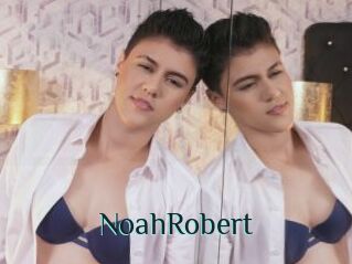 NoahRobert