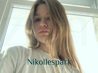 Nikollespark