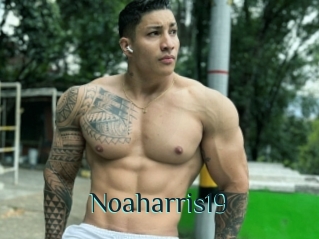 Noaharris19