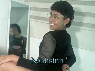 Noahsinn