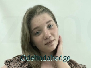 Odelindahedge