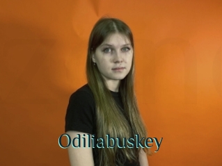 Odiliabuskey