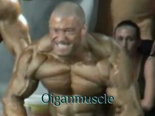 Oigan_muscle