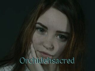 Orchidehsacred