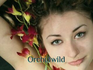 Orchidwild