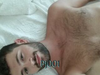 Pj001