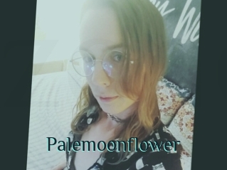 Palemoonflower