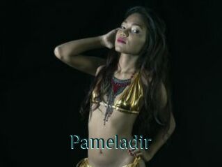 Pameladir