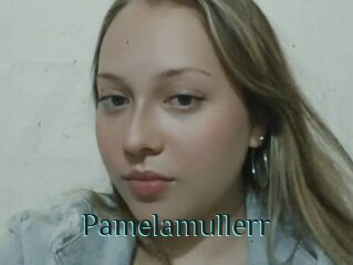 Pamelamullerr