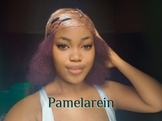 Pamelarein