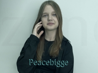 Peacebigge