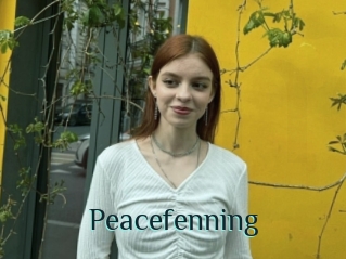 Peacefenning