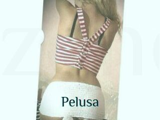 Pelusa