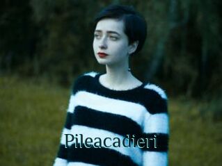 Pileacadieri