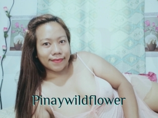 Pinaywildflower