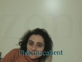 Pisicutacalient