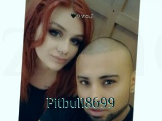 Pitbull8699