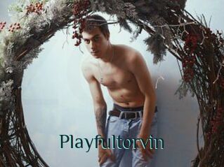 Playfultorvin