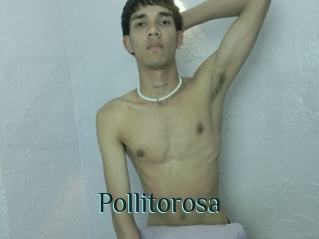 Pollitorosa