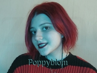 Poppyblom