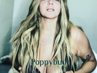 Poppybud