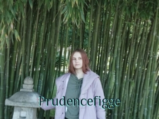 Prudencefigge