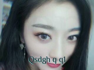 Qsdgh_q_q1