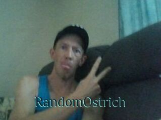 RandomOstrich