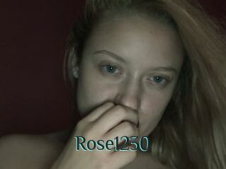 Rose1230