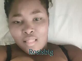 Rosisbig