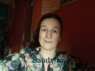 Sandy43