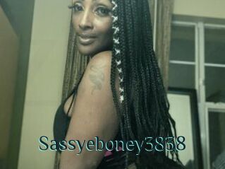 Sassyeboney3838