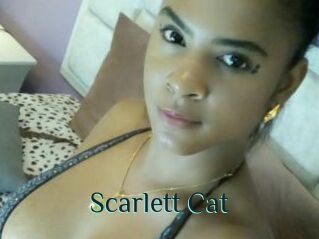 Scarlett_Cat