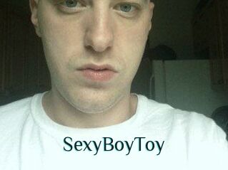 SexyBoyToy