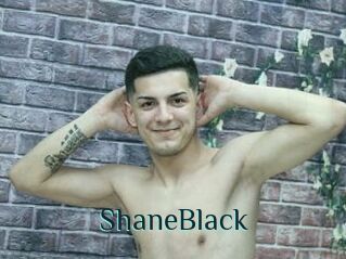 ShaneBlack