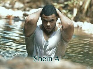 Shein_A