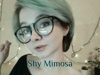 Shy_Mimosa
