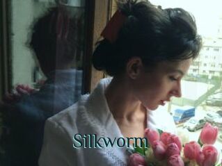 Silkworm