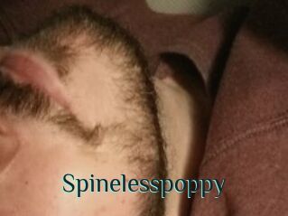 Spinelesspoppy