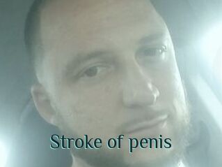 Stroke_of_penis