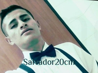 Salvador20cm