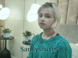 Sandyshayes