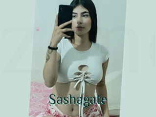 Sashagate