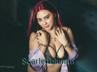 Scarlettblumm