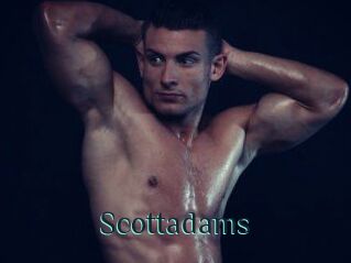 Scottadams