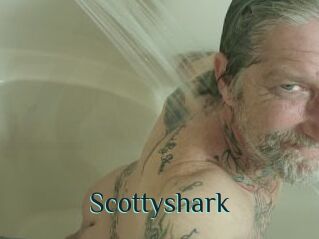 Scottyshark