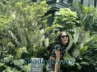 Shadaylowers