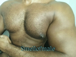 Smellofmale