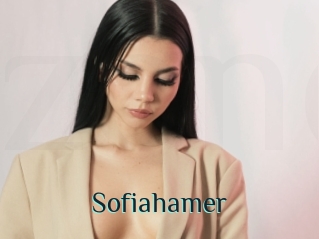 Sofiahamer